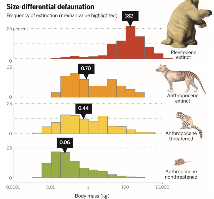 Biodiversity Loss Graph